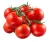 Import Red Color Fresh Tomato for sale from USA