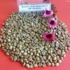 ROBUSTA, ARABICA GREEN COFFEE BEAN, GRADE A, SCREEN 13-18 MS. JENIFER: 0084909740687