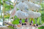 sea shells crafts