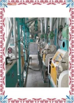 Showy maize flour milling machine /maize roller mill/wheat flour mill price for sale with CE approved