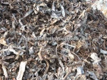 SHREDDED STEEL SCRAP