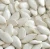 Import snow white pumpkin seeds 11cm~13cm,11mm~13mm from China