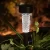 Import Solar Powered Stainless Steel Led Path Garden Lights,Outdoor Landscape Lighting For Lawn/Patio/Yard/Walkway/Driveway from China