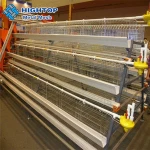 South Africa Chicken cage Automatic design Layer Chicken Cage for sale