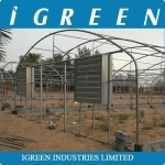 Straight wall tunnel greenhouse for vegetables growing