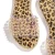 Import summer Rivet sandals flat heel snake sandal leopard slippers beach shoes for women outdoor daily life spike slipper from China