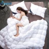 Superior Quality Home Textile Soft 100% Quilt Down Comforter