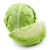Import Suppliers of Fresh Green Cabbage from India