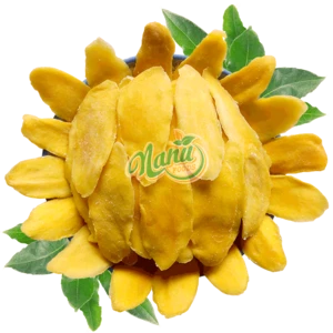 Supply Soft Dried Mango / Tropical Fruit / Vietnam