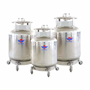 SUS304 Nonmagnetic LHe Helium Tanks Cryogenic Storage Cylinder Liquid Helium Dewar for Helium Resonance