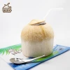 Thailand Fresh coconut easy open
