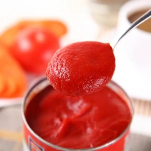 tomato pulp