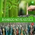 Import Top Quality Organic Reusable Eco Friendly Natural Nano BAMBOO TOOTHBRUSH for Kids Adults Travel with Manufacturer Custom Logo from China