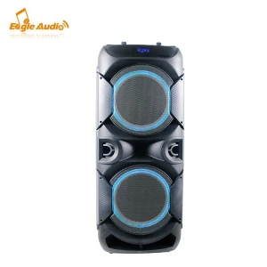 top quality wireless BT speaker with remote dual 12 inch trolley speaker system