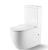 Import Tornado Two Piece Toilet Fabricado En China Sanitary Ware Bathroom Toilet Accessories from China