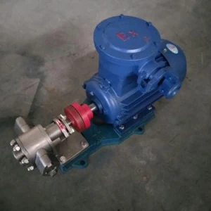 Transfer Heating Stainless Steel Oil Gear Pump