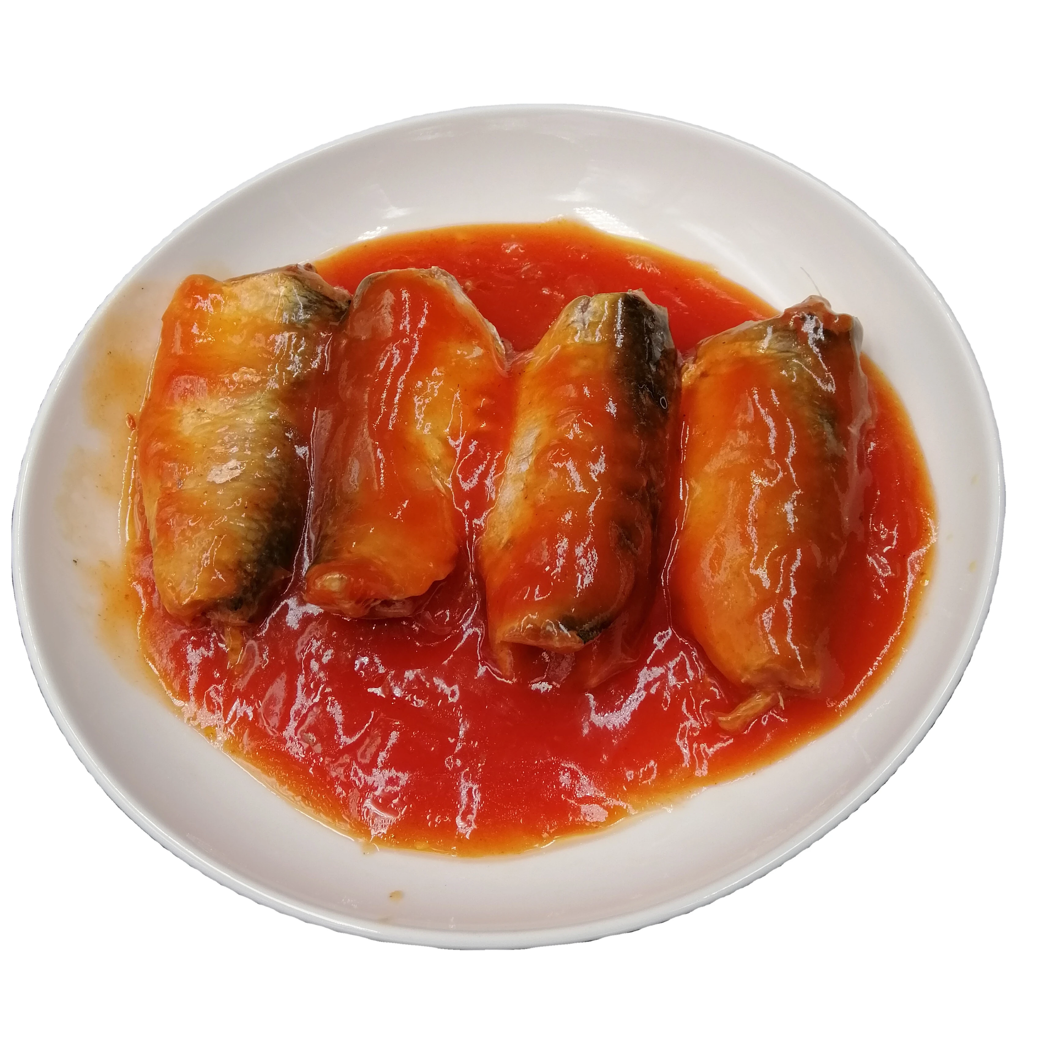 Types of canned sardine fish in tomato sauce