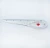 Import V-GF19 Promotional plastic envelope Letter opener with ruler and magnifier from China