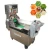 Import Vegetable Slicer Carrot Shredder Vegetable Cutter Fruit Chopper Customized Machine from China