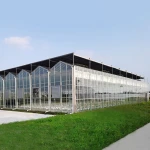 Venlo Greenhouse Glass Greenhouse Galvanized With Steel Frame Hydroponic Growing System In-solar agricultural Greenhouse