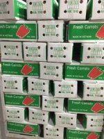 VIETNAM FRESH CARROT