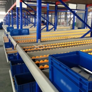 Warehouse Flow Rack Roller Picking Equipment Racks System Gravity Racking