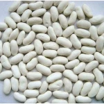 white kidney beans