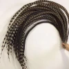 wholesale 60-70 inches the longest pheasant reeves feather for decoration