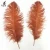 Import Wholesale  70-75cm brown Ostrich Feather for Wedding Centerpiece from China
