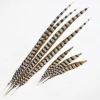 Wholesale artificial Reeves Pheasant Tail Feather 10-100 cm
