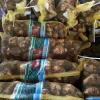 Wholesale bulk high quality delicious fresh organic taro