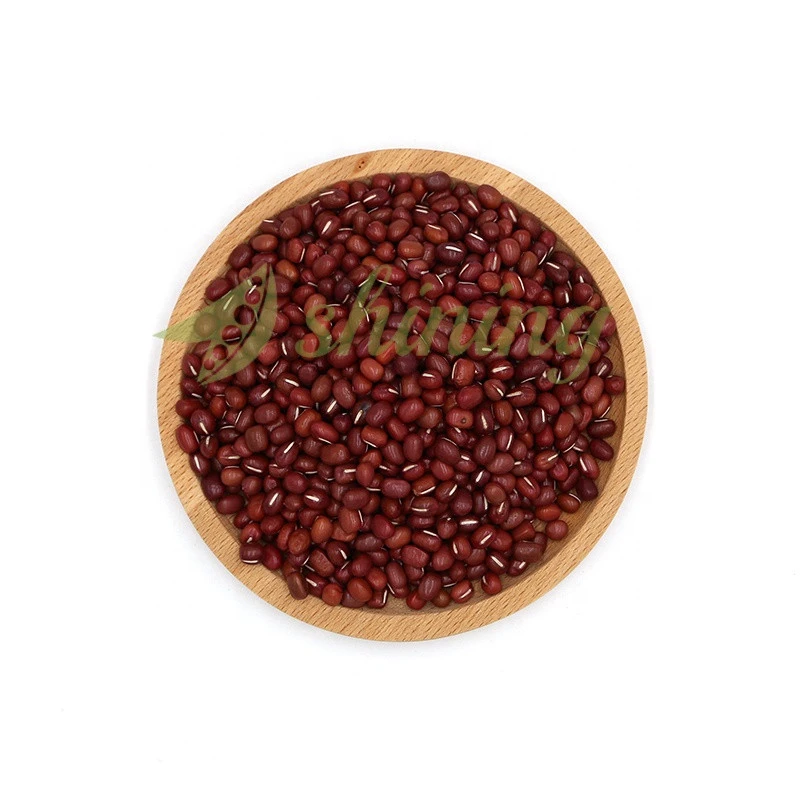 Wholesale china small red beans