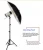 Import Wholesale Frosted 1.7m Photo Studio Led Light Tripod Stands from China