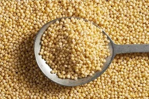 Wholesale High Quality Red & Yellow Millets with Cheapest Price