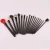 Import Wholesale Luxury Custom Private Label Brushes Animal Hair Makeup Set Brushes from China