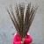 Import Wholesale Natural Pheasant Tail Feathers Reeves venery pheasant feather for carnival Festival from China