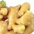 Import Wholesale organic fresh ginger price from China