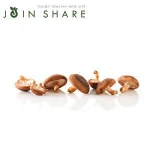 Wholesale organic shiitake Fungus Mushroom