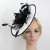 Import Wholesale Pretty Styles Kentucky Derby Race Feather Fascinator with Hairband from China