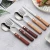 Import Wholesale Wooden Handle Cutlery Set Stainless Steel Spoon Knife and Fork Kitchen Cutlery from China