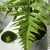 Import Wholesaler of Customized Lifelike  artificial trees  bonsai for Interior Decoration from China
