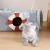 Import Wholesales Toy Folding Pet Channel Bed Chinchillas Cat Tunnel  Pet House from China