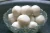 Import Widely Selling Fish Ball / Sea Food  For Export from South Africa