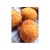 Import Yamasa Croquette Seafood authentic taste whole set packed snack from Japan