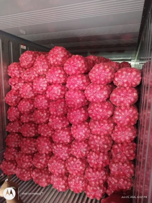 Indian Onion