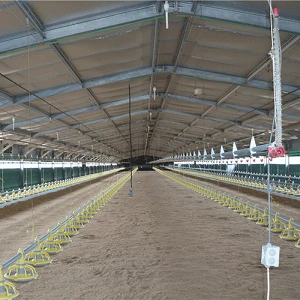 Prefabricated Galvanized Steel Structure Farming Shed Chicken Poultry House