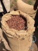 Quality Dried Grade A Cocoa beans