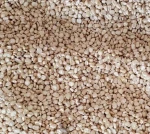 Maize