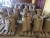 Import Cocoa Beans from Sierra Leone