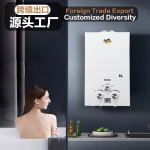 [Cross-border export] gas water heater flue water heater natural gas liquefied gas water heater